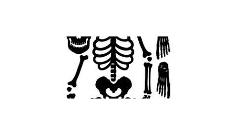 printable skeleton bones cut out