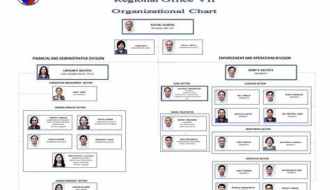 chart of organizational structure