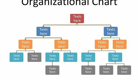 word org chart template