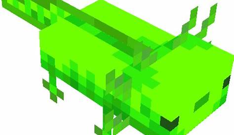 Are There Green Axolotls In Minecraft