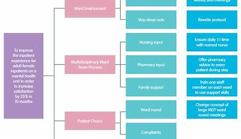 QI toolkit: driver diagrams - West of England Academic Health Science