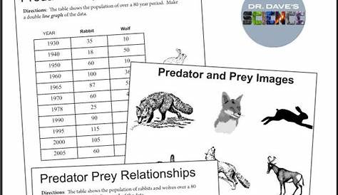 Predator Prey Relationship Worksheet