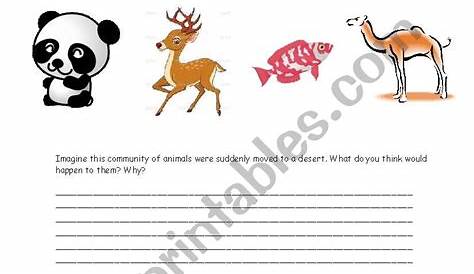 animal adaptations for kids worksheets