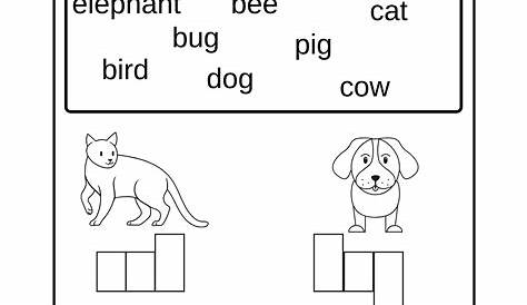 Kindergarten Reading Words - Ideas 2022