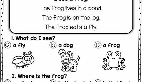 FREE Reading Comprehension for Early Readers and Special Education | S