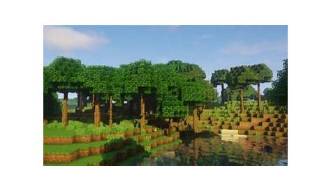 Dynamic Trees Mod for Minecraft 1.16.5