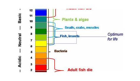 fish tank water ph level