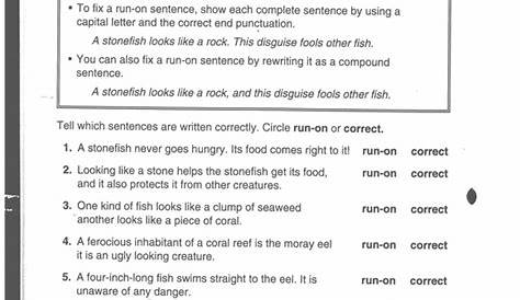 16 Best Images of 4 Grade Grammar Worksheet - Identifying Adjectives