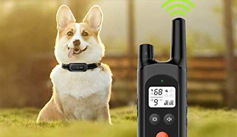 NVK Dog Training Collar – 2 Receiver Rechargeable Collars for Dogs with