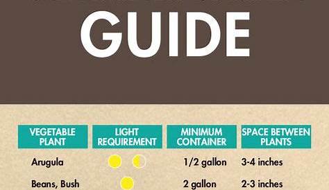 vegetable container gardening guide