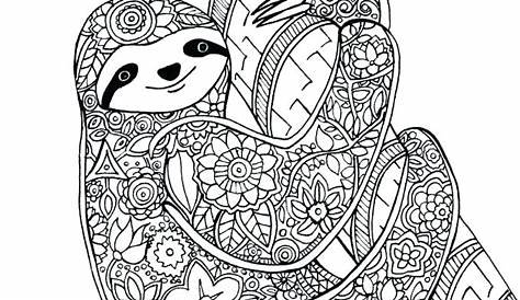 Best 21 Baby Sloth Coloring Pages – Home, Family, Style and Art Ideas