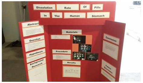 Science Project Ideas For 9th Grade Biology - Patricia Sinclair's
