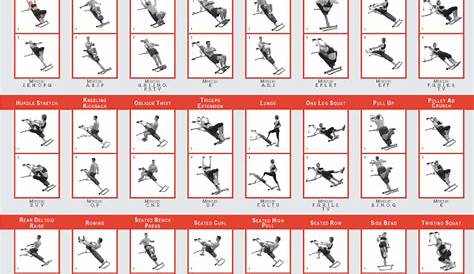 weider 2980x exercise chart pdf