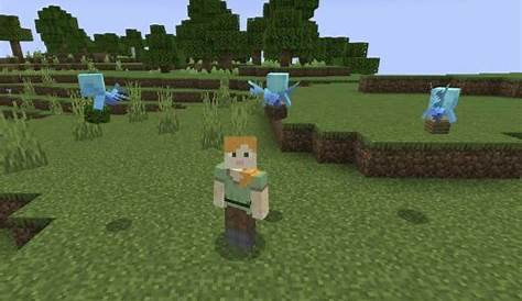 how to tame allays in minecraft