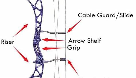 What bow types are available to the archer and hunter? » targetcrazy.com