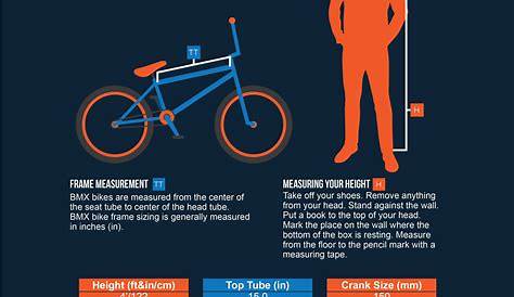 Bike Size Chart 2022 [BMX, City, Hybrid, Mountain, Road, Kids]