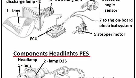 labeled diagram of rear car lights