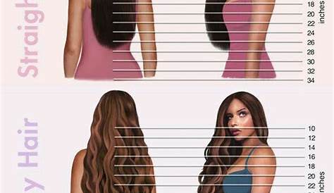 inches of hair chart