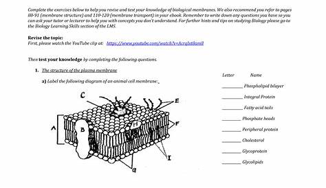 membrane structure and function worksheet answer key