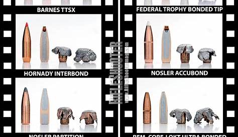 Ballistics Test: The Best Big Game Bullets - RifleShooter