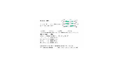 the structure of dna worksheet answers