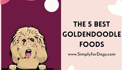 golden doodle food chart