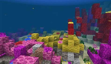 what biome do coral reefs spawn in minecraft