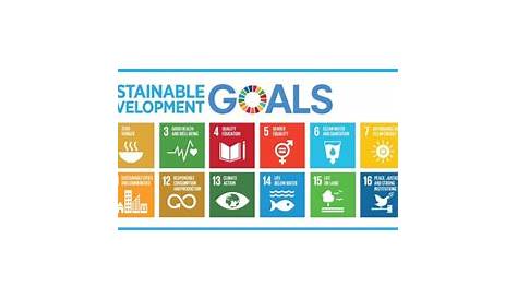 UN SDG: Learn’s Steering Group - Data-Pop Alliance