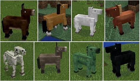 what to feed horses on minecraft