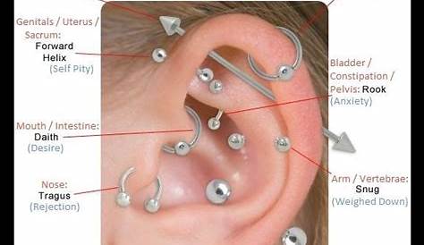 Akupunktur & entsprechende Piercings für Gesundheit und Wellness - Ohrlocher | Ear piercings