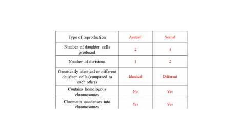 Compare And Contrast Mitosis And Meiosis Worksheet | TUTORE.ORG