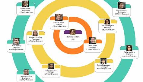 circular organizational chart template