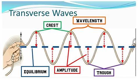 difference between full wave and bridge wave