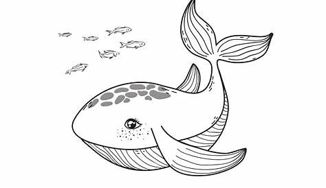 Free printable colouring pages of sea animals