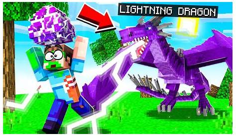 STEALING A *LIGHTNING* DRAGON EGG IN MINECRAFT! - YouTube