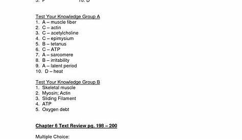 muscle system worksheet answers