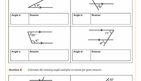 maths class 7 lines and angles worksheet
