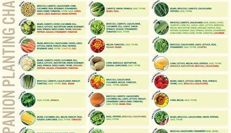 vegetable growing temperature chart