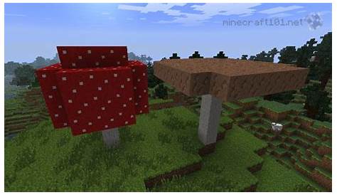 where can i find brown mushrooms in minecraft