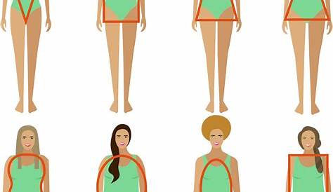 women's body types chart