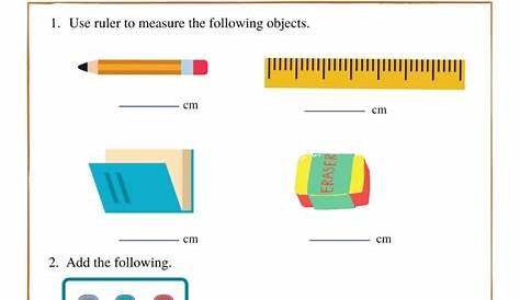 Measurement worksheet grade 2 | class 2 measurement