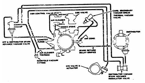 1973 Firebird Wiring Diagram - diagram back muscles