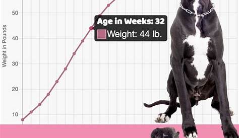 growth chart for great dane