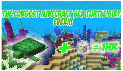 Minecraft | LONGEST SEA TURTLE BREEDING!!! - YouTube