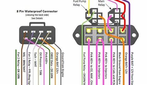 Ls1 Fuel Pump Relay Wiring Diagram - Wiring Diagram