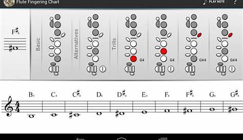 Flute Fingering Chart – Apps para Android no Google Play