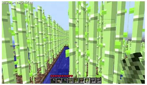 how to make sugarcane grow in minecraft