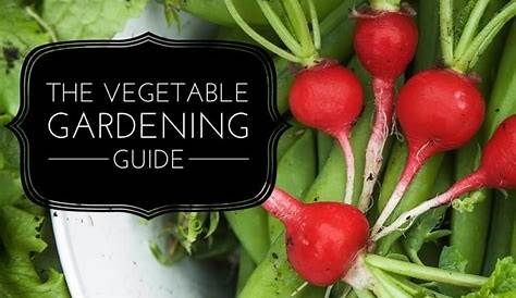 Growing a Home Vegetable Garden: A Comprehensive Guide - Gardening Channel