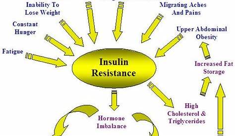 insulin resistance level chart