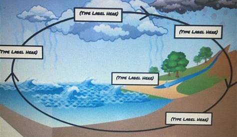 labeling the water cycle worksheets answers